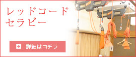 レッドコードセラピーの詳細を見る