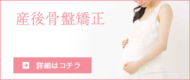 産後の骨盤矯正の詳細を見る