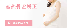 産後の骨盤矯正の詳細を見る