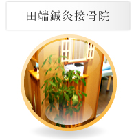 田端鍼灸接骨院
